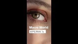 Xperia 1 VI | Macro World