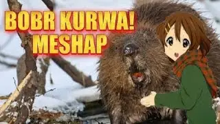 BOBER KURWA TIKTOK MESHAP | BOBER KURWA | MESHAP | TIKTOK