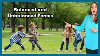 Forces in Action: Balanced and Unbalanced Forces Explained! With Net Force Examples