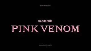 BLACKPINK- 'PINK VENOM' CONCEPT TEASER