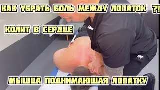 Как убрать боль между лопаток?! Мышца поднимающая лопатку. Алгоритм работы с грудным отделом