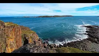 Подводный мир Баренцева Моря.  Underwater World of Barents Sea.