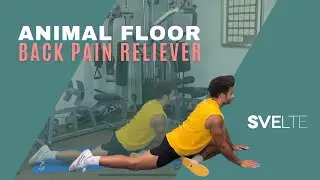 Floor Based Animal Exercises For Back Pain