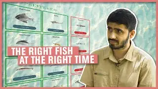 How to Fish Sustainably | Mayuresh Gangal