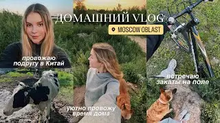 ДОМАШНИЙ ВЛОГ: душевные разговоры и закаты на поле 💛✨🌾 провожаю подругу в Китай!