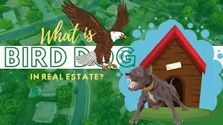 What Is Bird Dog In Real Estate? (Invest In Real Estate Without Money)