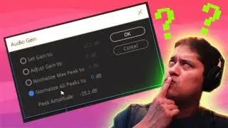 Normalize MAX or Normalize ALL Audio Peaks? Premiere Pro Tutorial