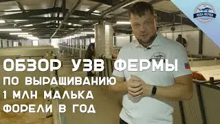 Обзор УЗВ ФЕРМЫ ПО ВЫРАЩИВАНИЮ 1 млн МАЛЬКА ФОРЕЛИ в год