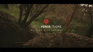 Mente Vence Tigre - No todo está tan mal