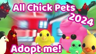 All 13 Chick Pets in Adopt me