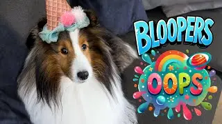 11? Cricket the Talking Pup is looking Good for her Age! 🐶🎁💕 Birthday Bloopers! e375-2