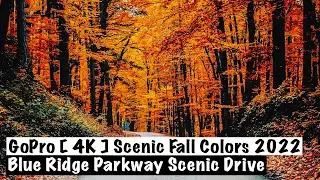 Scenic Fall Colors 2022 - Blue Ridge Mountain Scenic Drive | GoPro [ 4K ]