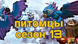 ПИТОМЦЫ И СЕЗОН 13// НОВЫЙ КЛАСС НАЁМНИК// Frostborn Action RPG