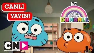 🔴 CANLI 🔴| GUMBALL | 3. SEZON | Tüm Bölümler | Cartoon Network Türkiye