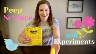 SCIENCE OF MARSHMALLOW PEEPS: How they're made and fun experiments to make them grow!