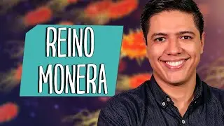 REINO MONERA - BACTÉRIAS - MICROBIOLOGIA - Prof. Kennedy Ramos