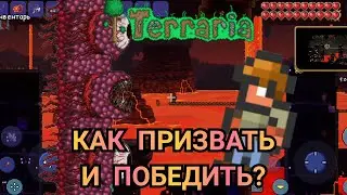 СТЕНА ПЛОТИ - КАК ПРИЗВАТЬ И ПОБЕДИТЬ?! Террария Гайды