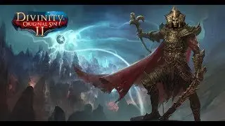 Divinity Original Sin 2 - Фейн