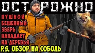 Baikal 141 Соболь - Обзор на малокалиберный карабин, под патрон .22 LR