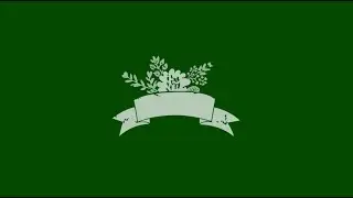 New green screen wedding title pack | Green screen wedding title effects