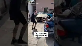 Брутальный парктроник