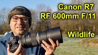 Just How Good is this Combo for Wildlife Photography? (Real-world Testing)