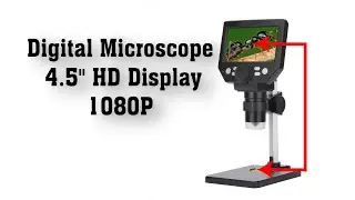 Portable LCD digital microscope.