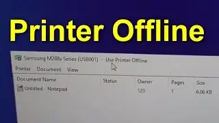 Why the Printer wont Print? (Use Printer Offline)