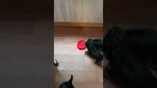 Пьём водичку😃