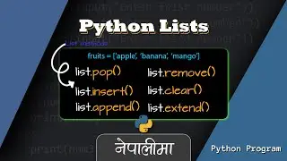 Complete Guide to Python Lists: Learn with Practical Examples