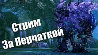 Стрим - Blade & Soul [Древний город яндарумов]