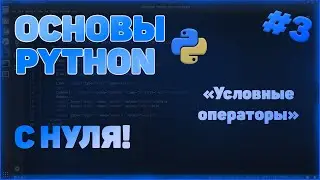 КУРС ПО ОСНОВАМ PYTHON | УСЛОВНЫЕ ОПЕРАТОРЫ | #3