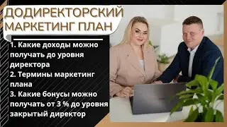 Додиректорский Маркетинг План