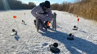 ТУТ ПОЛНО ЩУКИ! НЕ УСПЕВАЮ ВЫСТАВИТЬ ЖЕРЛИЦЫ ! Наконец ПЕРВЫЙ ЛЁД!