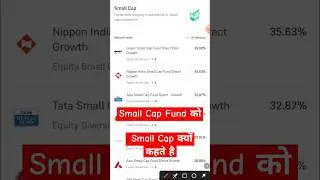 Small Cap Mutual Fund Explained in 2024