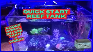 I added Coral to a New Nano Reef Tank in 5 Days