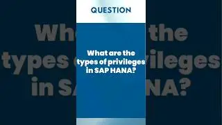 What are the types of privileges in SAP HANA?