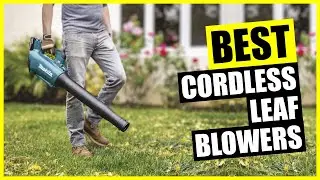 TOP: Best Cordless Leaf Blower [2024]