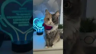 Ну расскажи какие продукты запретили 😸😸 