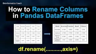 Pandas Python for Bioinformatics- How to Rename Columns in Pandas DataFrames (Beginners Guide)