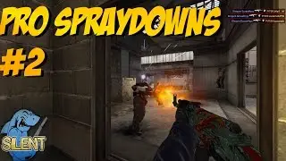 CS:GO - Pro Spraydowns 2 w/ GeT_RiGhT, rain, Snax and more (Insane Pro Plays)