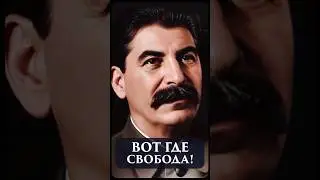 Вот где свобода! // Мысли Сталина #3 