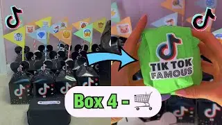 TikTok Mystery Boxes - BOX 4!🛒 *asmr* 