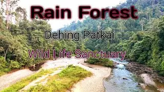 Dehing Patkai wild life Sanctuary,Digboi ,Assam ||. Rain Forest