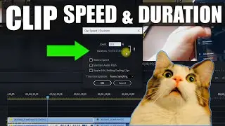 ADOBE PREMIERE PRO 2020 | HOW TO CHANGE CLIP SPEED & DURATION