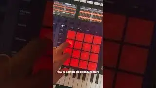 How To Sample Loops On Maschine!