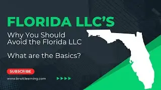 Avoid the Florida LLC! - What are the Big Issues??