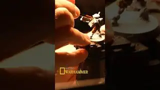 The Warhammer Painter: A Lesson in Mastery, Madness & the Pursuit of Perfection
