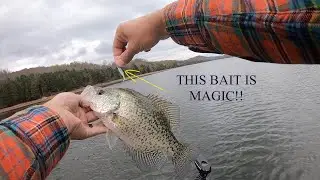 Try THIS BAIT When CRAPPIE WON'T BITE!!!