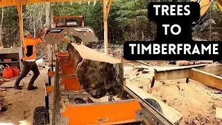 Milling HUGE Timbers for our Entrance | Self-Built Home